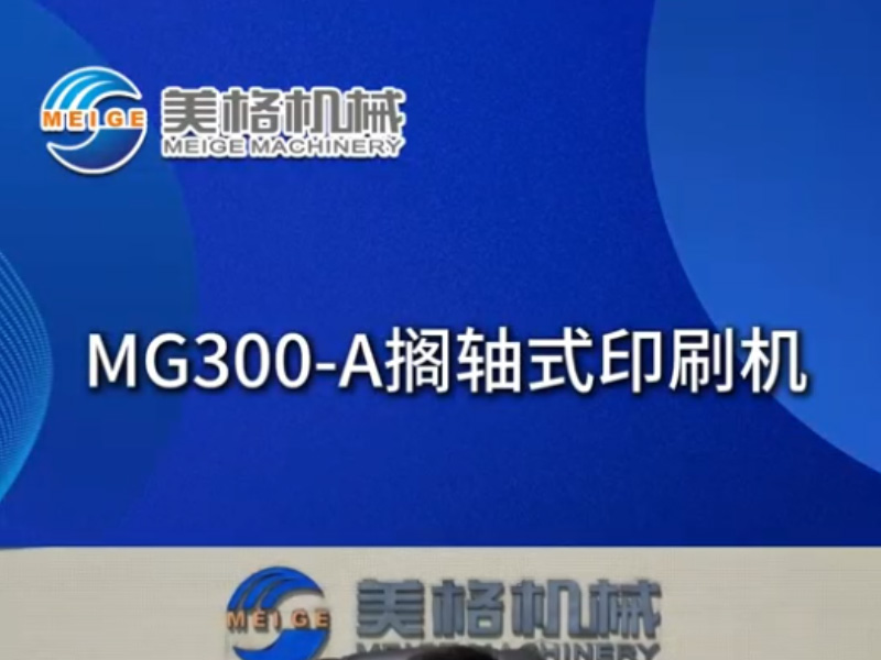 MG300-A Axial Printing Machine